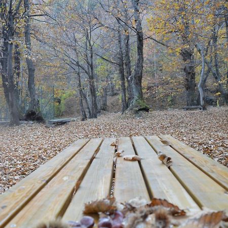 La Slitta Bed and Breakfast Roure Turin Buitenkant foto